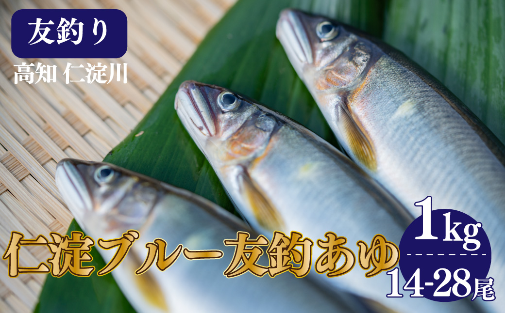 有名料亭絶賛！鮎屋仁淀川の友釣り天然鮎 約1kg