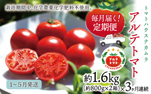 【2026年1月～5月頃発送】＜アルテトマト 定期便 約1.6kg×3ヶ月連続＞フルーツトマト 合計4.8kg トマトハウスナカムラ　栽培期間中化学農薬・化学肥料不使用