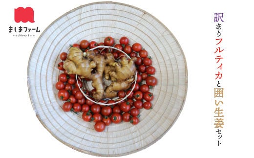 【毎年12月～7月頃まで発送】 ましまファームアイメック®【訳あり・規格外】トマトと囲い生姜のセット