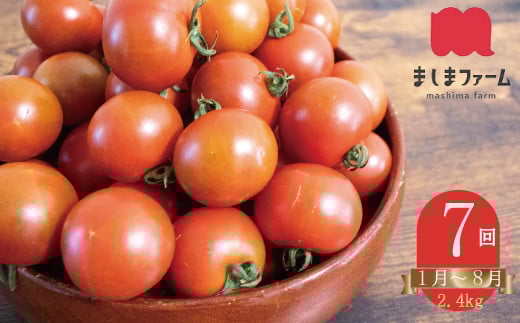 【2026年1月～8月頃発送】＜約2.4kg×7回 定期便＞訳あり アイメック フルティカ トマト ましまファーム ミニトマト フルーツトマト ワケあり 規格外