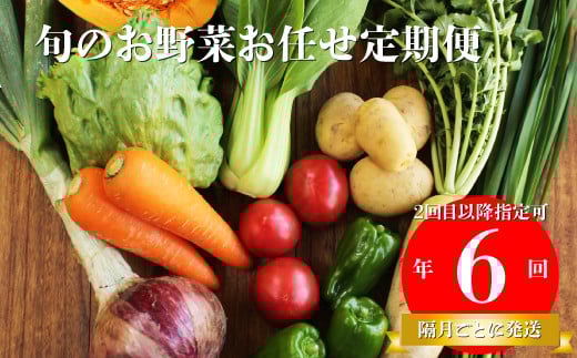 【年6回】高知から産直！旬の季節のお野菜定期便（7～9品）