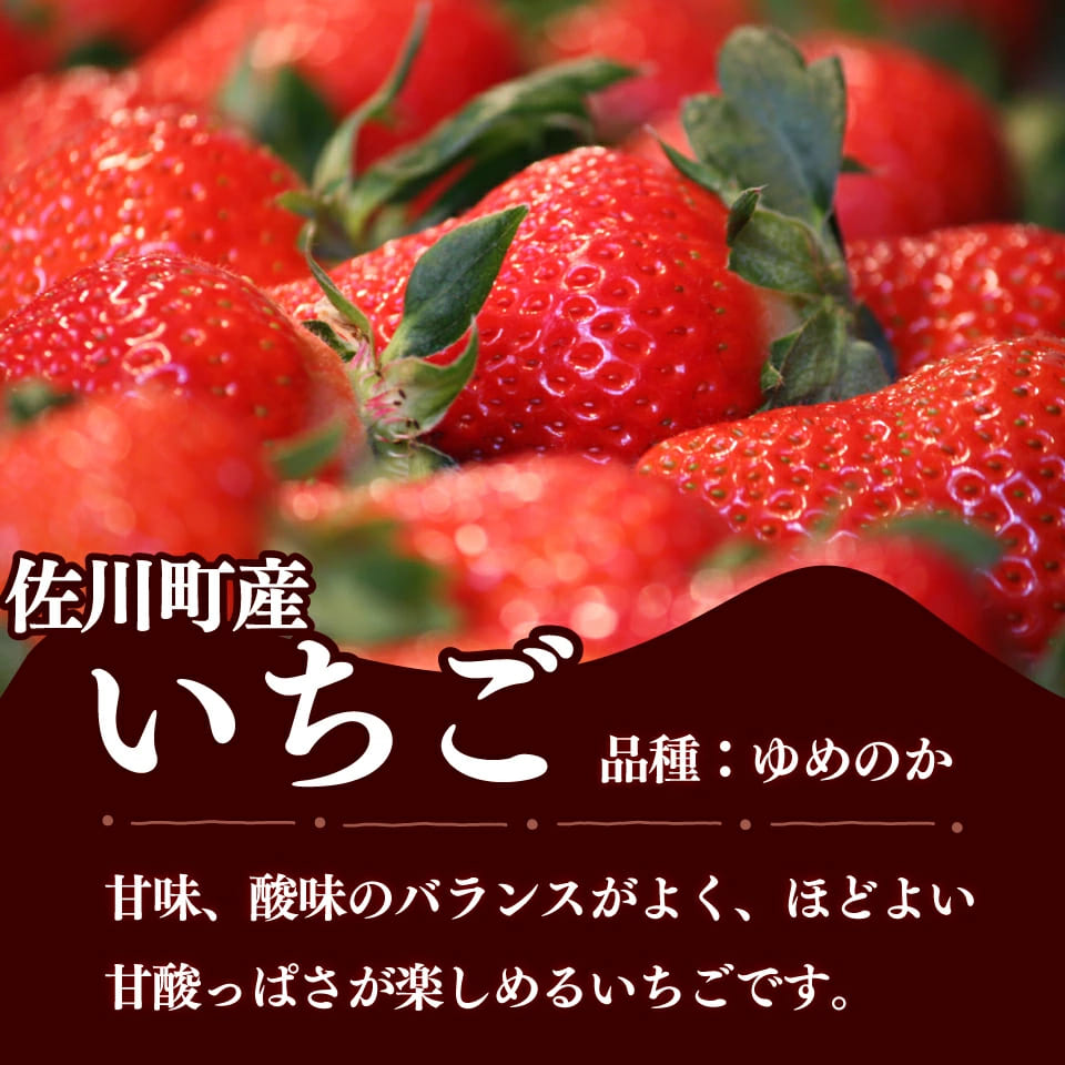 ＜佐川のフルーツ・野菜 定期便（全５回）＞いちご 冷凍ブルーベリー フルーツトマト 梨 夢甘栗