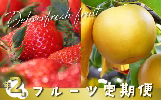 （全2回）佐川町産フルーツ 定期便  いちご 梨