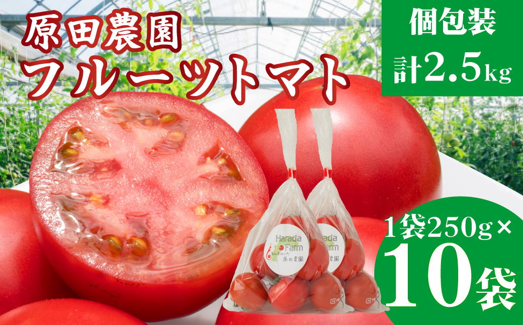 【12月下旬～5月頃発送】＜秀品 A品 フルーツトマト 原田農園 約2.5kg 個包装 1袋250g×10袋＞ 桃太郎 高知県 佐川町　＜2025年12月下旬頃より順次発送＞