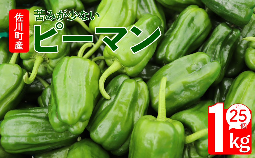 【ピーマン】1kg さらら 高知 野菜 夏 苦みが少ない 佐川町産 ＜毎年5月下旬頃～11月頃まで発送予定＞＜2026年 発送分 予約受付中＞