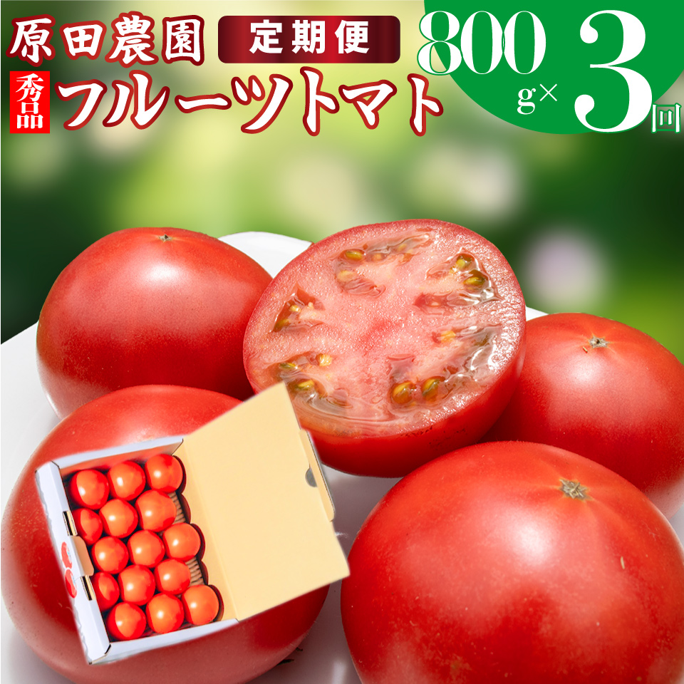 【3回定期便】フルーツトマト 原田農園 約800g 小箱　（12月下旬～5月頃発送）＜2025年12月下旬頃より順次発送＞