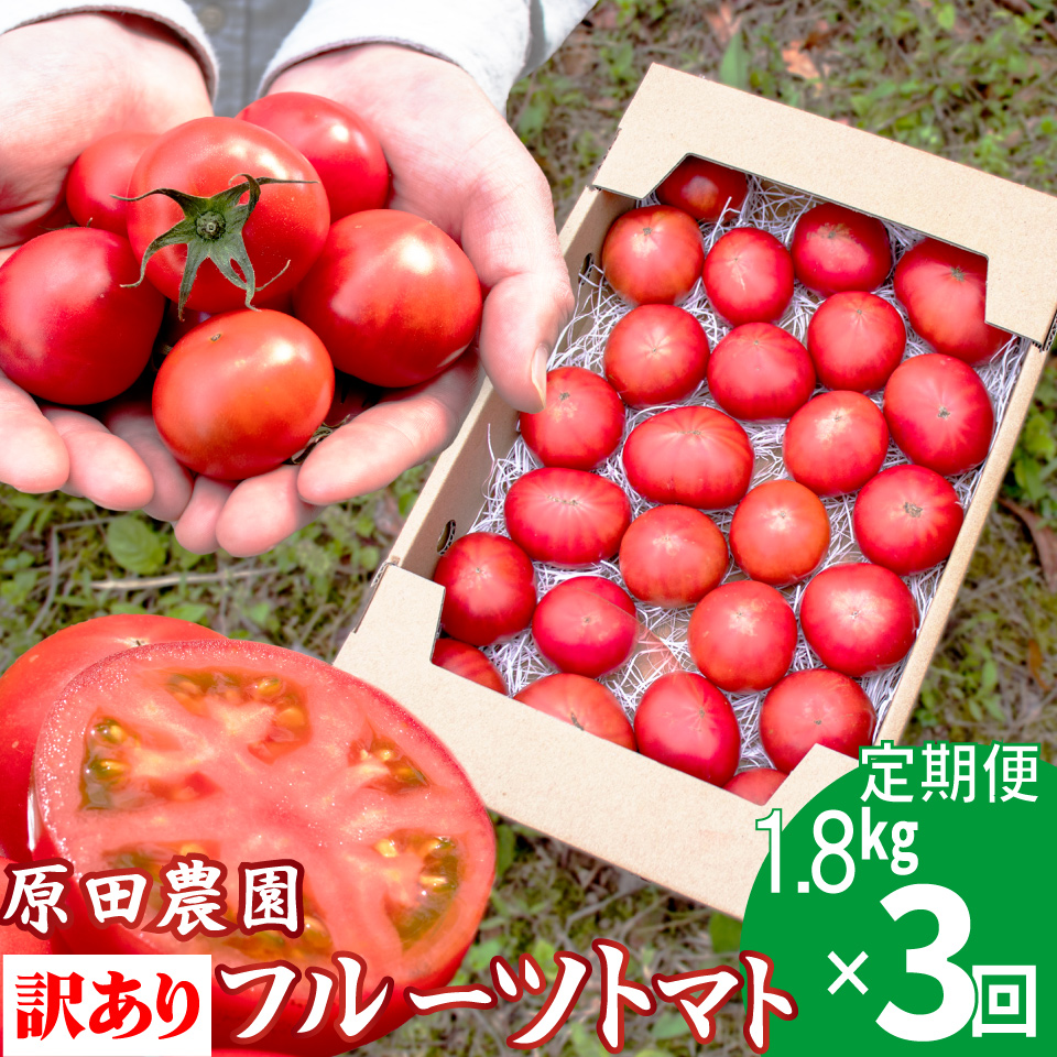 【3回定期便】 訳あり フルーツトマト 原田農園 1.8kg （12月下旬～5月頃発送）＜2025年12月下旬頃より順次発送＞