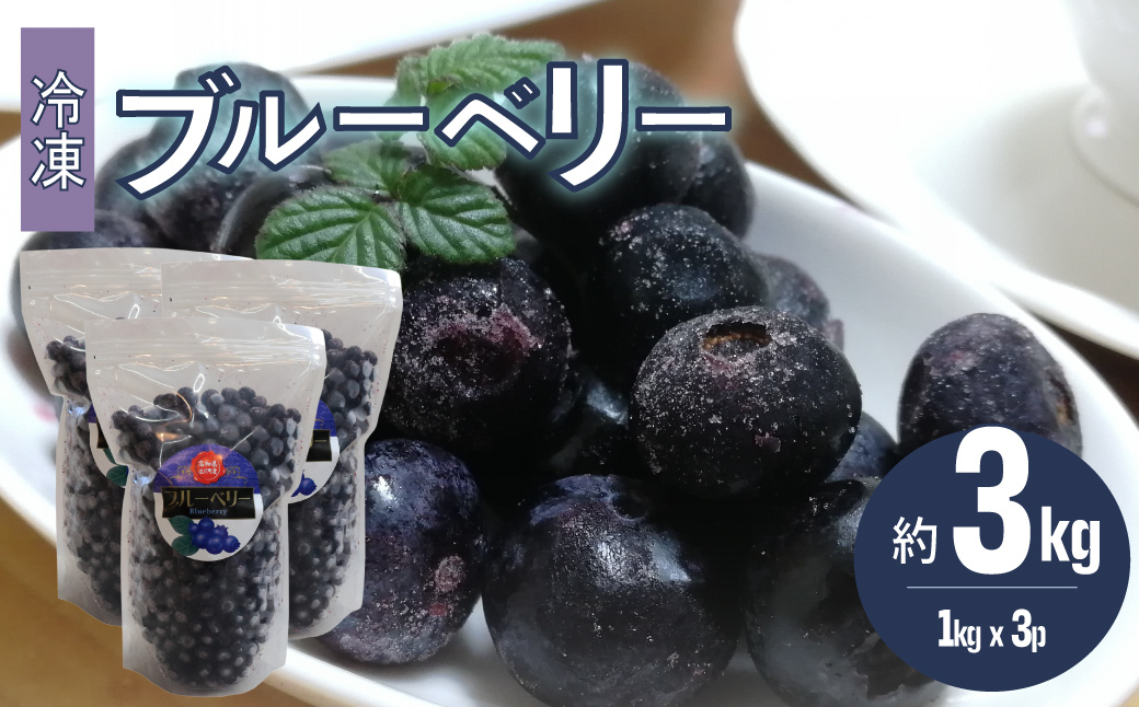 【ブルーベリー（冷凍）3kg】　＜発送まで最大で４～６ヶ月程度お待たせする事があります＞