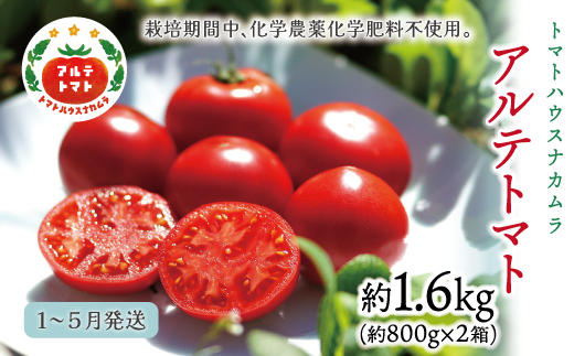 【2026年1月～5月頃発送】＜アルテトマト 約1.6kg（20-35玉）＞ フルーツトマト 高知県 佐川町 トマトハウスナカムラ 野菜 贈答用 リピーター多数 高糖度 ギフト 栽培期間中化学農薬不使用