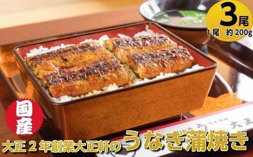 ＜最大5ヶ月待ち・日付指定不可＞大正二年創業！「大正軒」の国産うなぎ蒲焼（３尾/約７.５人前）