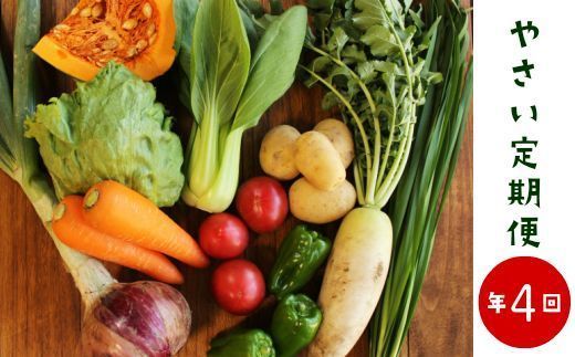 【年4回】高知から産直！旬の季節のお野菜定期便（7～9品）