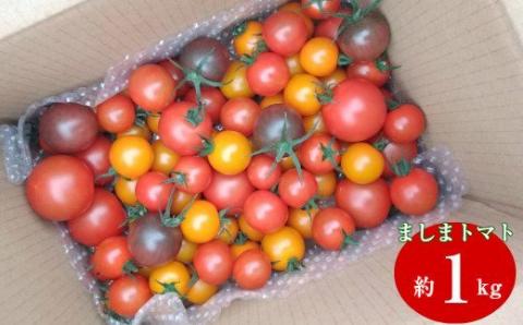 ましまファームのアイメックトマトMIX(フルティカ&ミニ4種)1kg
