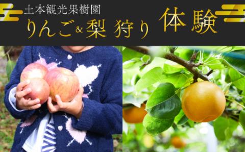 りんご&梨狩り 果物収穫体験 + 生ジュース搾り体験 土本観光果樹園 お土産付 高知で果物狩り