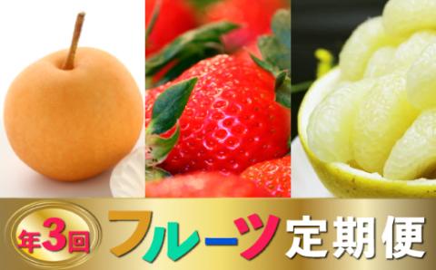 (全3回)佐川町産フルーツ 定期便R5 いちご 文旦 梨 佐川町の自慢のフレッシュ果物を旬の時期にお届け
