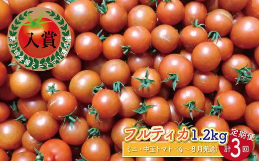 [4月〜8月頃発送][約1.2kg×3回 定期便]訳あり アイメック フルティカ トマト ましまファーム ミニトマト フルーツトマト ワケあり 規格外
