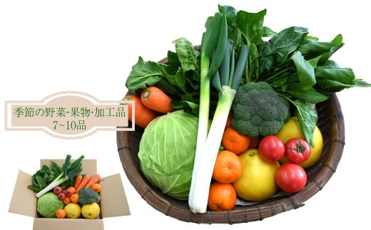 はちきんの店 野菜 セット 7~10品 野菜詰め合わせ 詰合せ 高知の野菜 旬の野菜