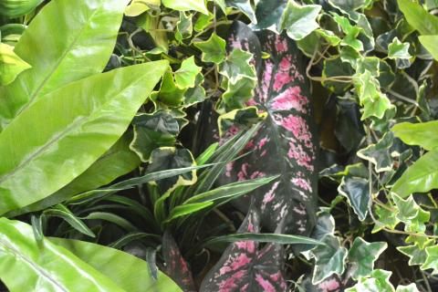 壁掛けアレンジ 6kg（造花）Go-567