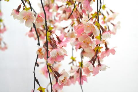 しだれ桜（造花）Gow－５７０