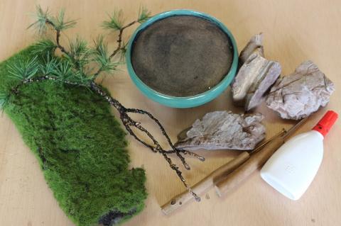 盆栽キット（小）