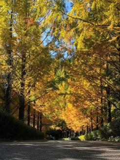 越知町応援寄附金（返礼品無し）5000円