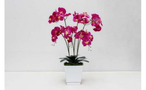 胡蝶蘭（造花）GF-003