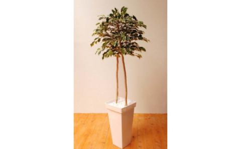 ベンジャミン（造花）GF-004