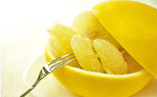 【2026年発送】（家庭用）土佐文旦（約5kg/8～12玉）　フルーツ 果物 新鮮 産直