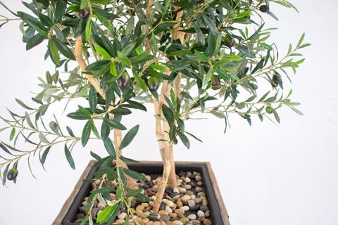 オリーブ（造花）Gow-514