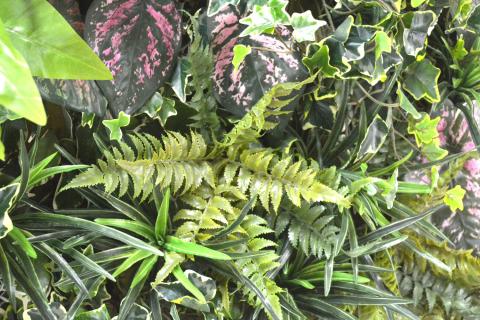 壁掛けアレンジ 6kg（造花）Go-567