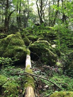 越知町応援寄附金（返礼品無し）5000円