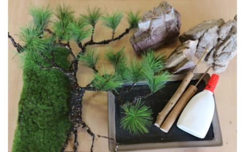 盆栽キット（大）GF-009