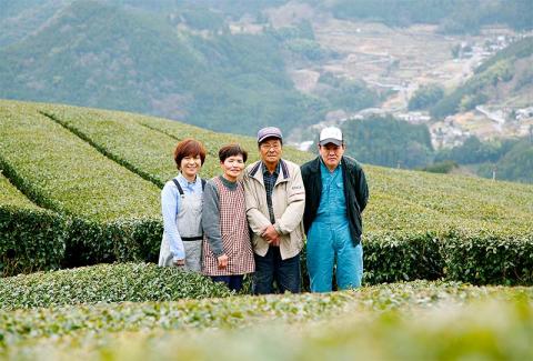 香り高いお茶セット（S）