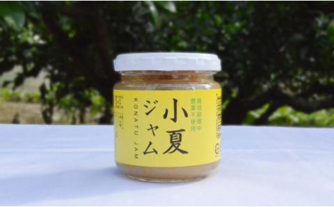 かんきつジャム24個セット