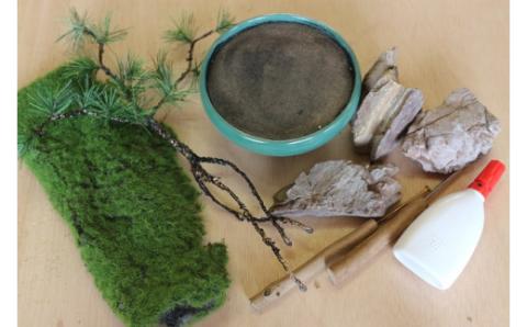 盆栽キット（小）GF-008