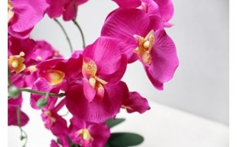 胡蝶蘭（造花）GF-003