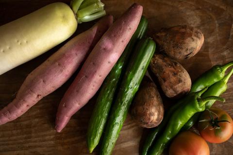 越知産市の季節の野菜セット(年6回発送) 奇数月　産地直送　旬野菜
