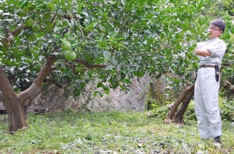 しょうがシロップ(300ml)