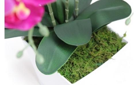 胡蝶蘭（造花）GF-003