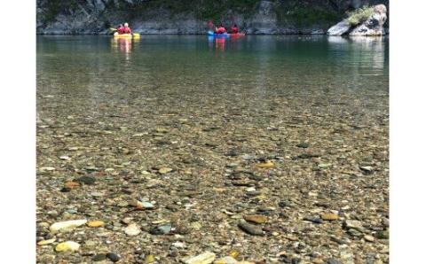 【返礼品なし】食育支援 5,000円