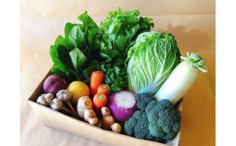 越知産市の季節の野菜セット(年12回発送)