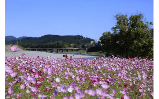 スノーピークかわの駅おち「住箱-jyubako-」ペア宿泊チケット