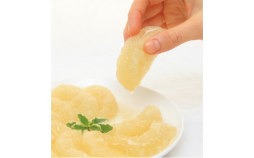 【2026年発送】土佐文旦（約5kg/8～12玉）　フルーツ 果物 新鮮 産直