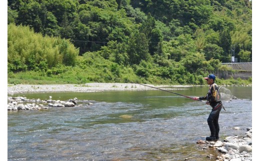 （2026年先行受付）高知県仁淀川の天然鮎　約500ｇ
