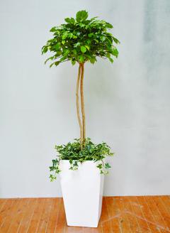 防災グッズ　タスカルグリーン（造花）TG-022