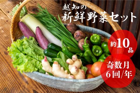 越知産市の季節の野菜セット(年6回発送) 奇数月　産地直送　旬野菜