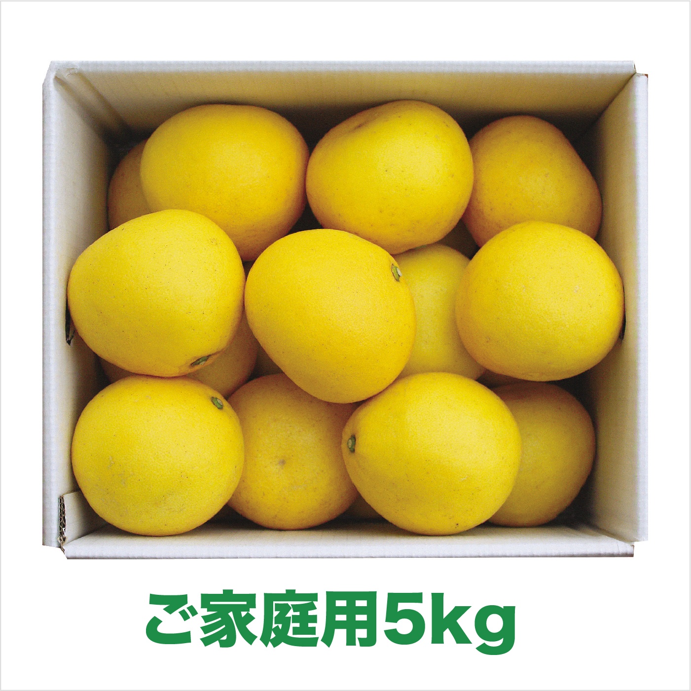 【2026年発送】岡林農園の(家庭用)土佐文旦(約5kg/8～12玉) 栽培期間中 農薬不使用