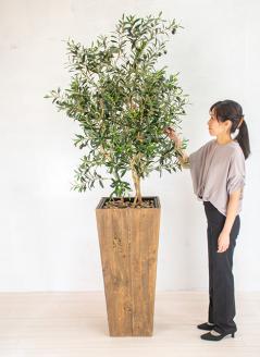 オリーブ（造花）Gow-514