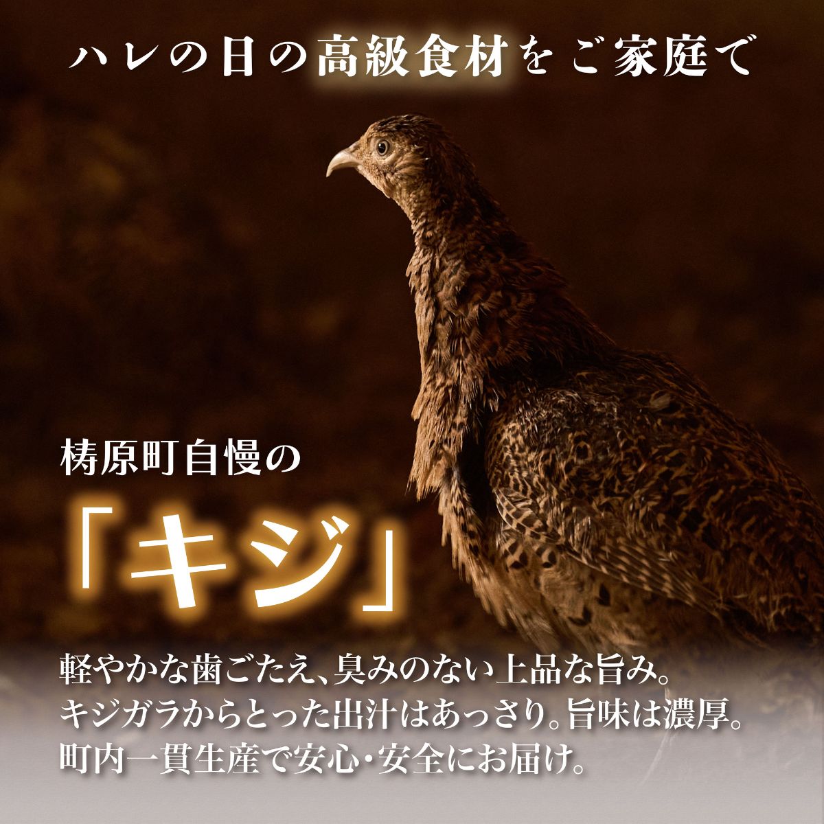 四万十川の源流域で育った自慢のキジ 鍋セット 希少キジ肉300ｇ／特製キジ鍋スープ300ml （株式会社四万川雉生産部）【K005】高級食材 希少肉 高知県産 冷凍便