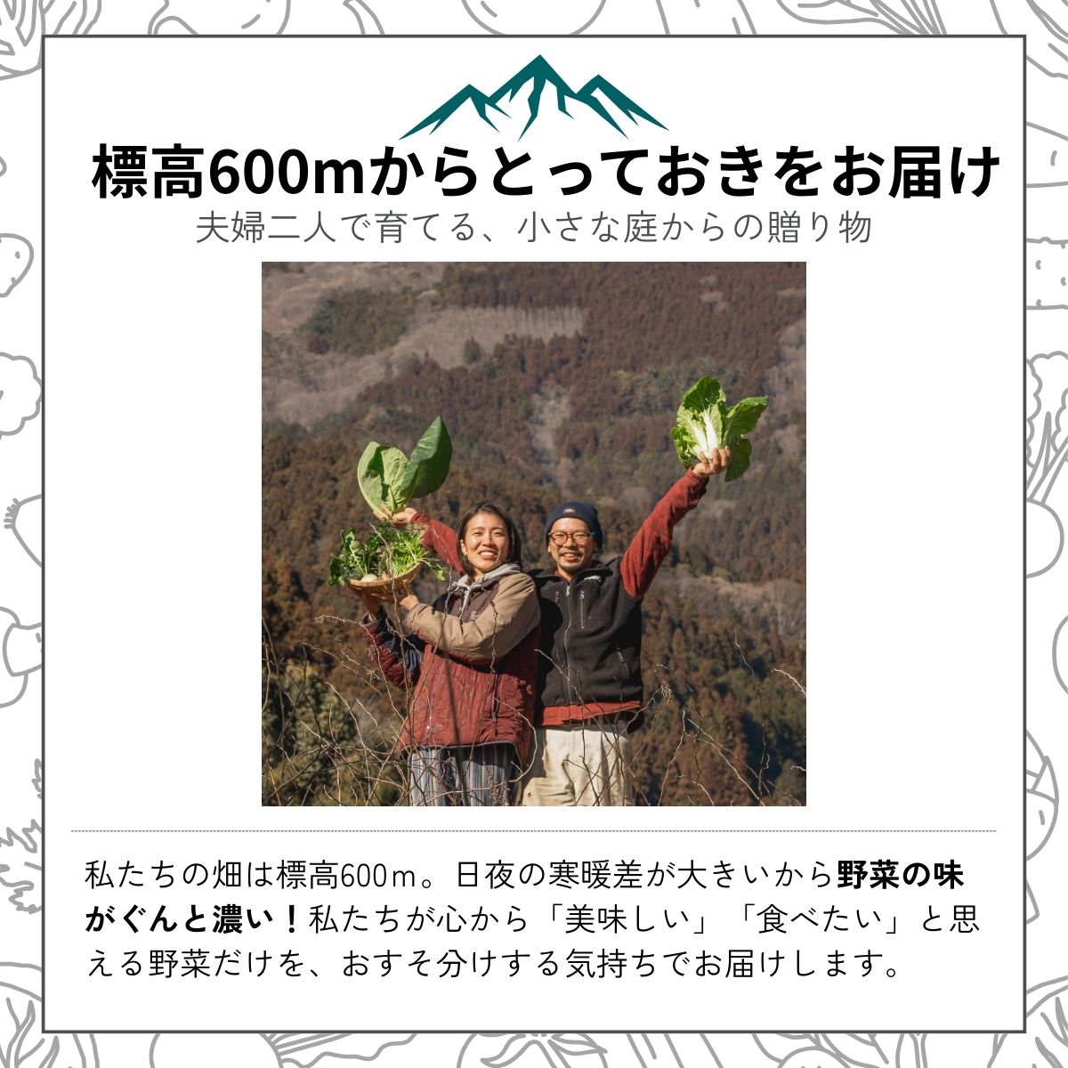 農薬化学肥料不使用 雲の上ガーデンのぴかぴか野菜セット【お試し便】季節にあわせて10品目前後をお届け【L001】季節 旬 詰め合わせ 採れたて 新鮮 産地直送 高知県産 冷蔵便