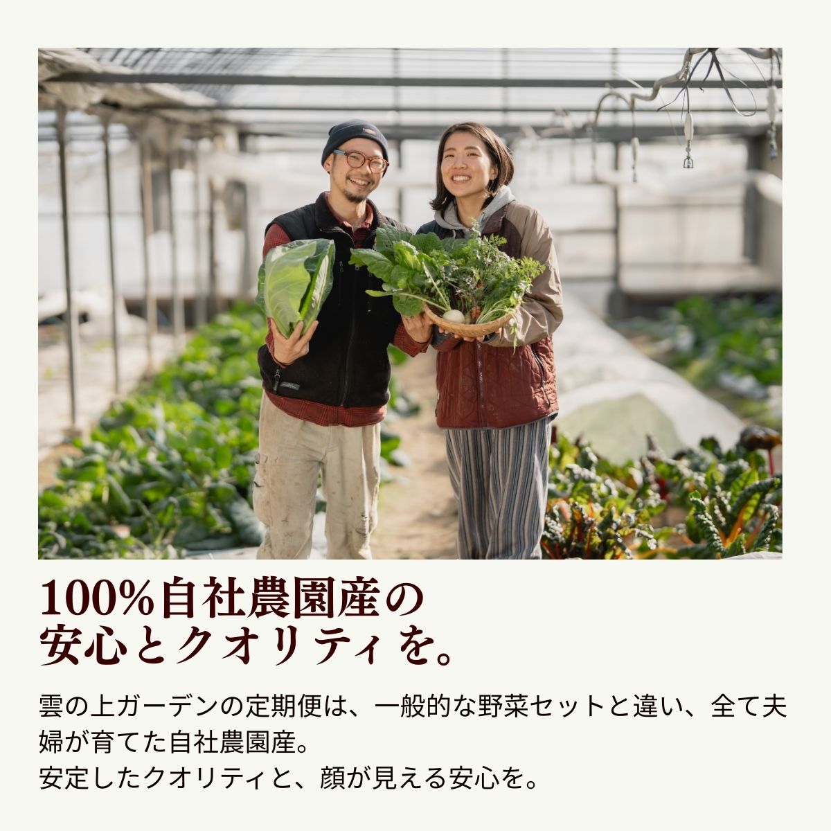 農薬化学肥料不使用 雲の上ガーデンのぴかぴか野菜セット【お試し便】季節にあわせて10品目前後をお届け【L001】季節 旬 詰め合わせ 採れたて 新鮮 産地直送 高知県産 冷蔵便